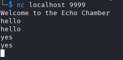 image of an nc into the program where any input you give is repetead back to you