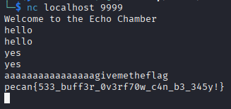Image of the correct text where the payload was injected and the flag returned
