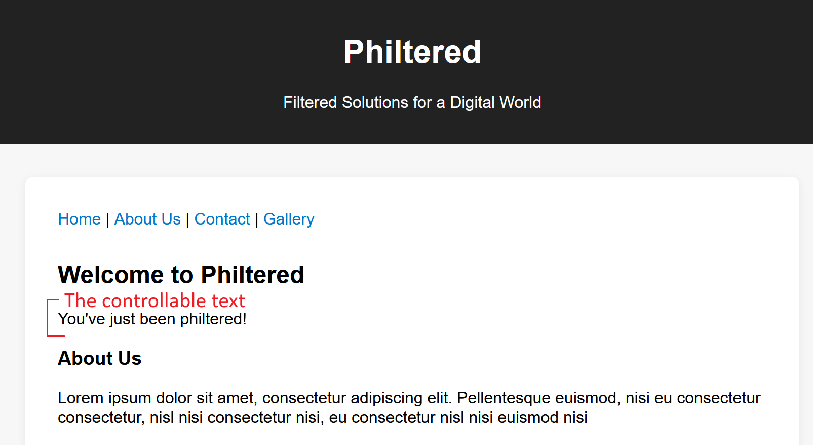 picture of the website showing how instead of reading out flag.php, we got the text `You've just been philtered!`